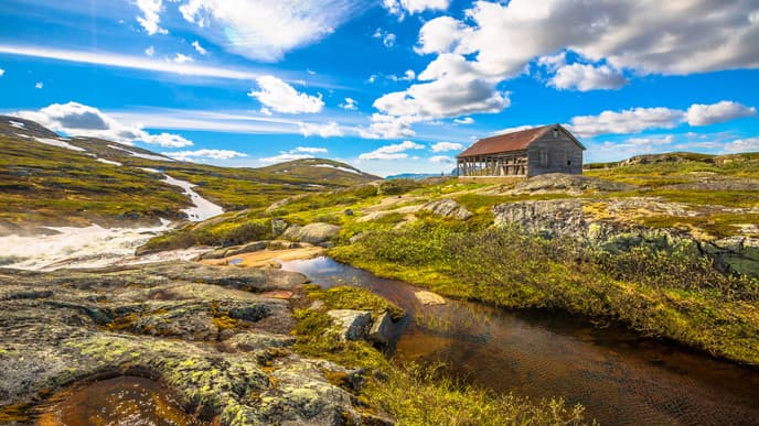 Raw nature in Geilo