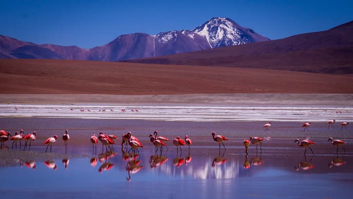 Marvel at the Otherworldly Landscapes