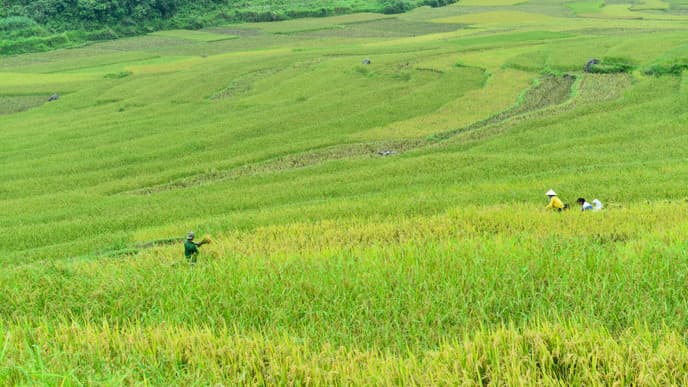 Explore Pu Luong & traditional water wheels