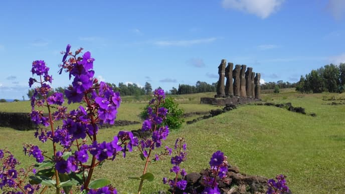 Rückflug aufs Festland