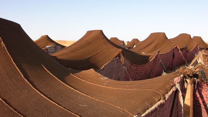 Desert camping under the stars