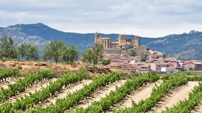 Roam through the vineyards of La Rioja