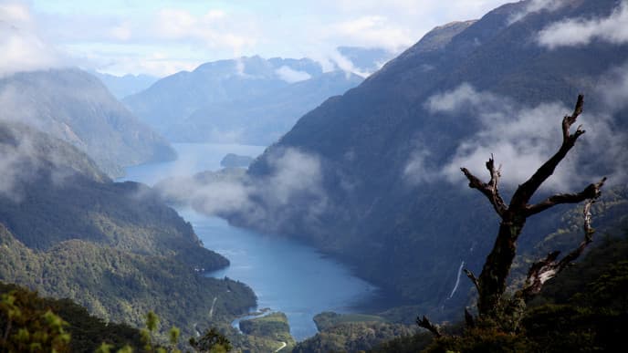 Cruising the Fiordland