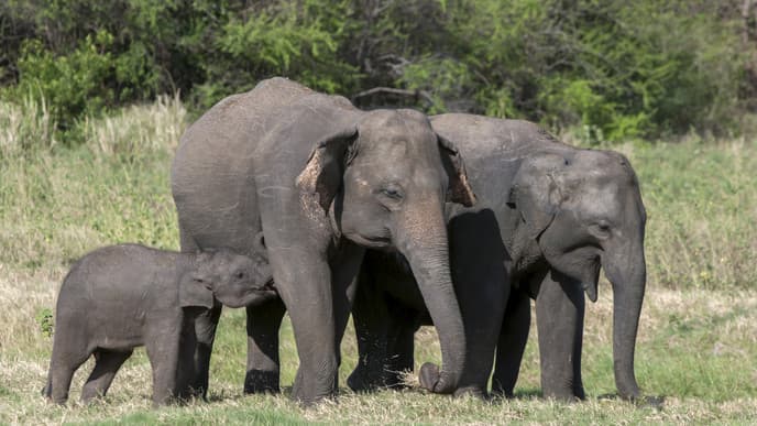 Jeep-Safari durch den Nationalpark