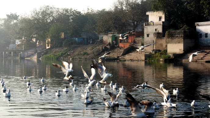 Zurück nach Delhi