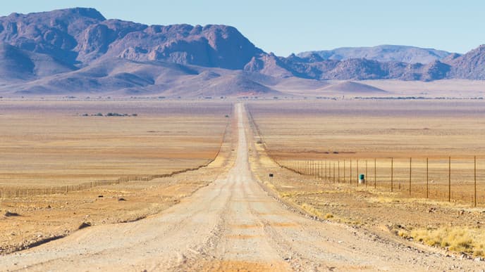 Wilde Pferde und wundervolle Landschaft