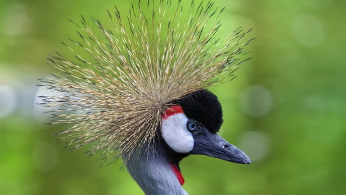 Welcome to Uganda!