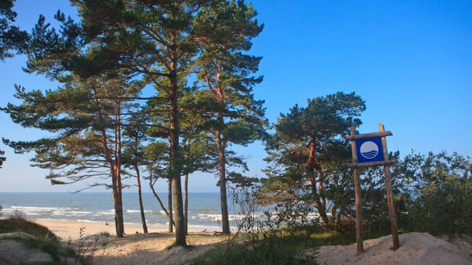 The coastal romance of Palanga