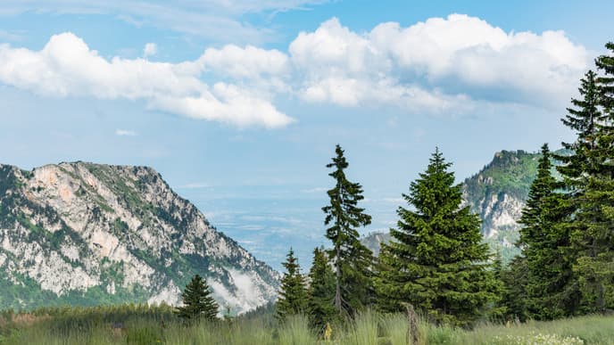 Experience life in the mountains