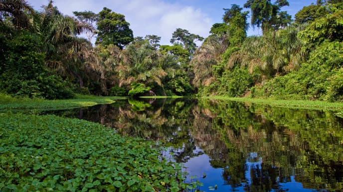 Ein Paradies für Naturliebhaber und Vogelbeobachter