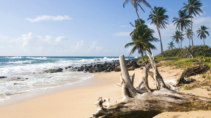 Big Corn Island