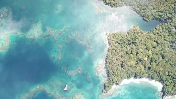 Visit the Natural Park of Islas del Rosario