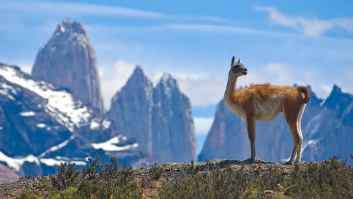 Freier Tag in Torres Del Paine