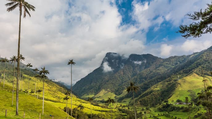 Medellin's creative transformation