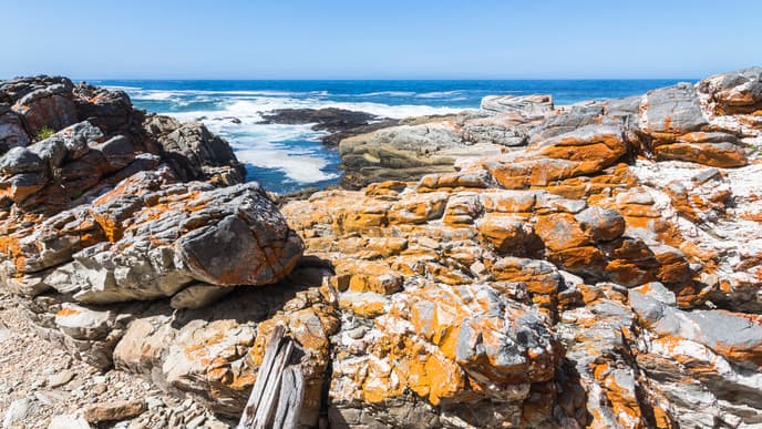 Hängebrücke über den Storms River