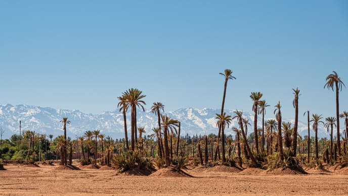 Venture into the Atlas Mountains