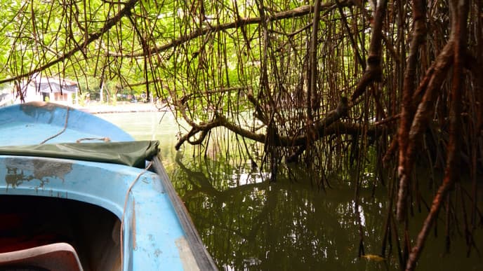 Letzter Tag im Ayurveda Resort