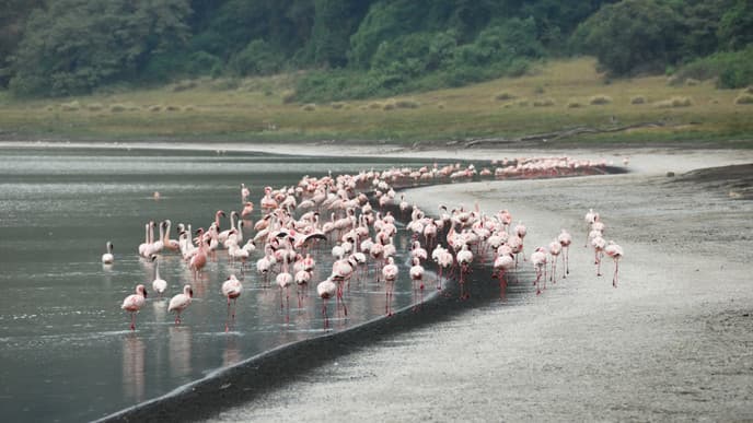 The Stunning Landscape of the Empakaai Crater