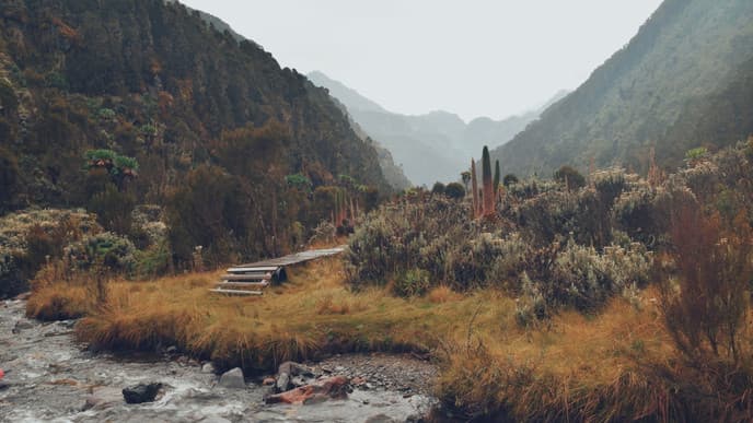 Hike to Guy Yeoman Camp