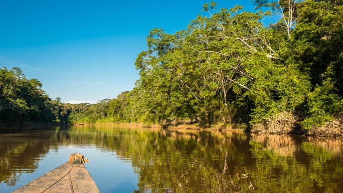 Immersive experiences in nature