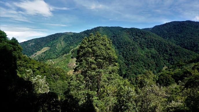 Journey to San Gerardo de Dota