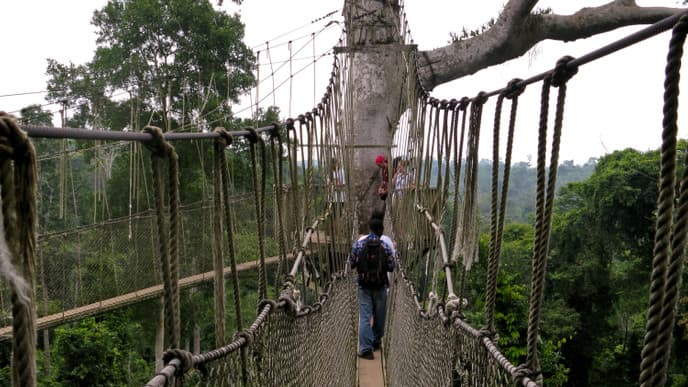 Kakum National Park and Cape Coast Slave Castle