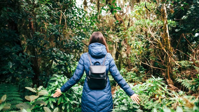 Forest bathing in the Anaga Biosphere Reserve