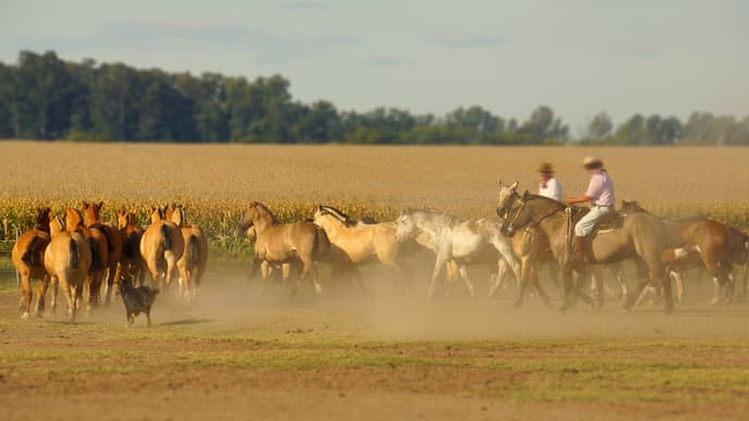 Gauchos in Santa Susana