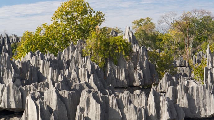 Die Schlucht von Manambolo