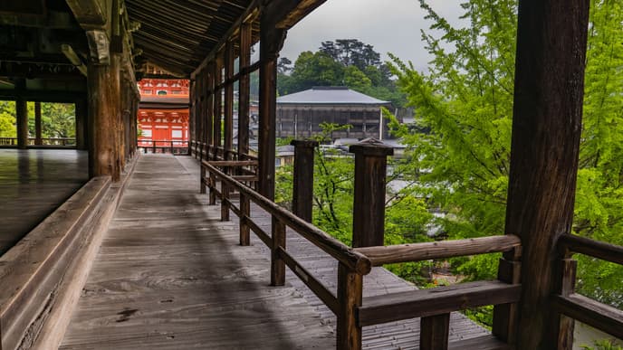 Architektur und Natur