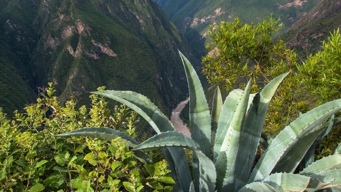 Beginn des Choquequirao Trekkings