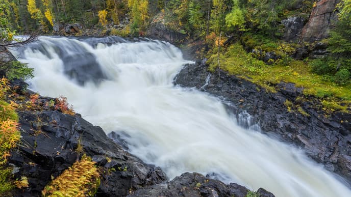 Enjoy a Nature Trek and a Firewood Sauna