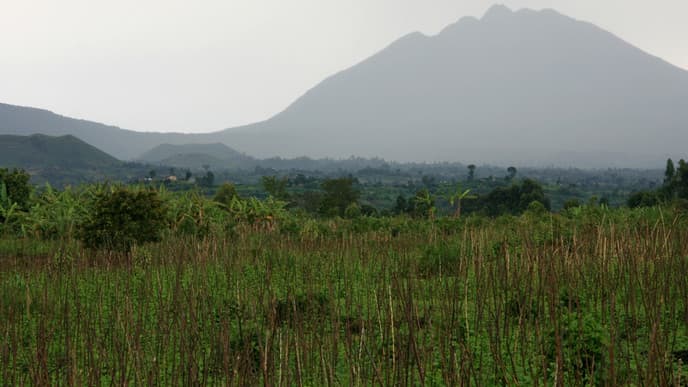 Tour the Crater Lakes of Kisoro
