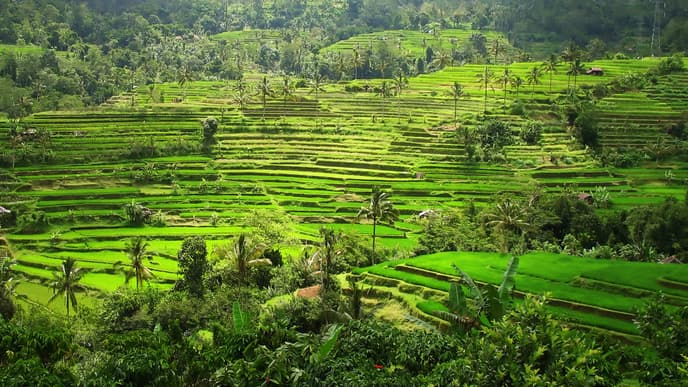 So long Sumatra, selamat tinggal!