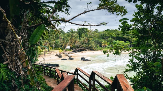 Visit the Isla Bastimentos National Marine Park