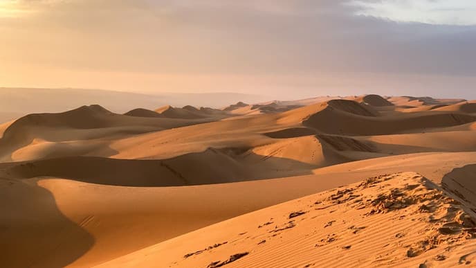 Auf dem Weg zum Wüstencamp