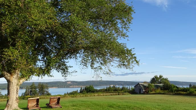 Breathtaking Lac Bras d'Or