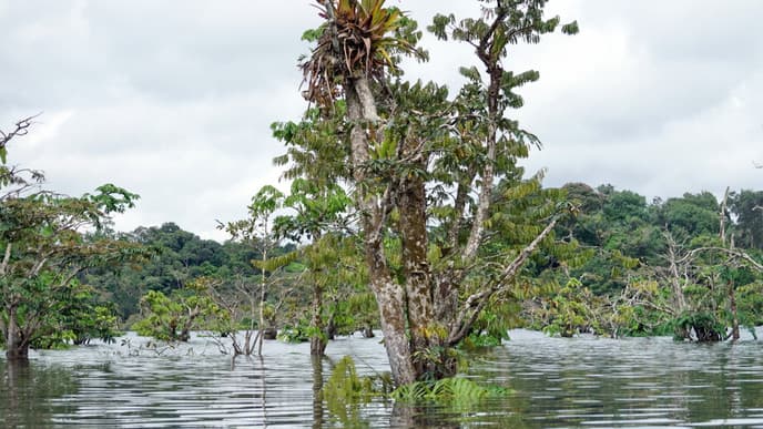 See the stunning sunrise from a canoe