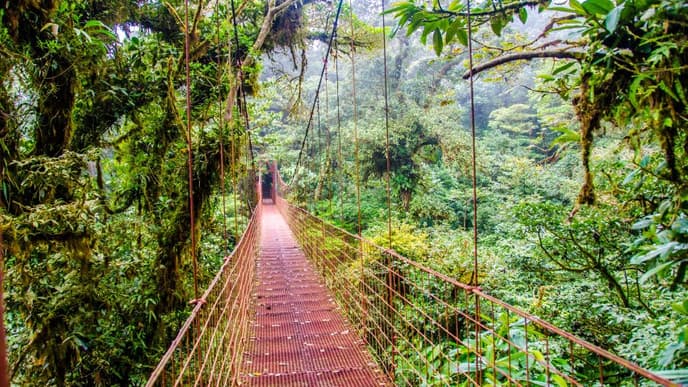 Wanderung auf den Hängebrücken
