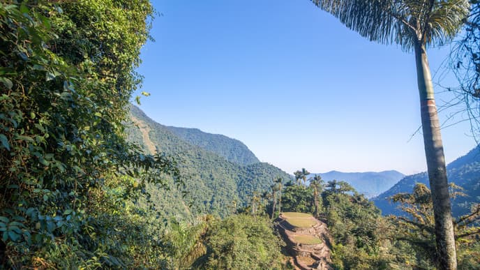 Trek Through The Stunning Jungle
