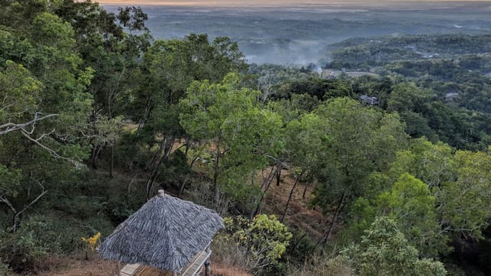 Dive deep into local traditions