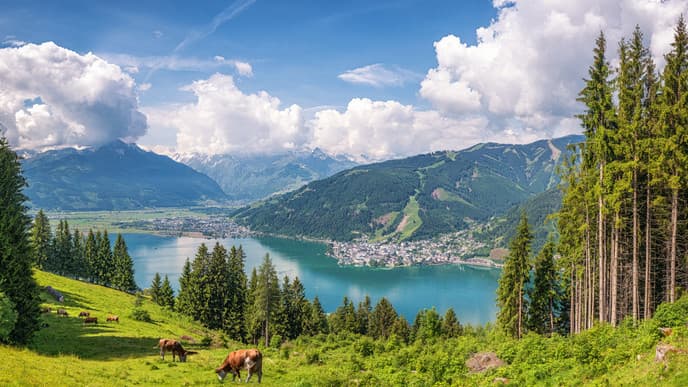 The Sound of Music tour & candlelight concert