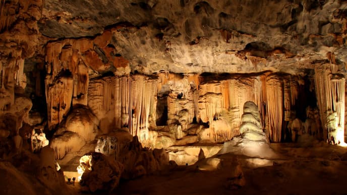 Zu Besuch in der Straußenhauptstadt