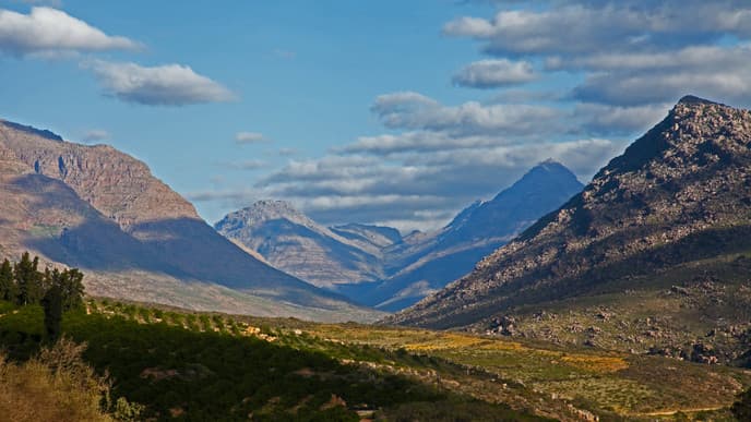Journey into rooibos country