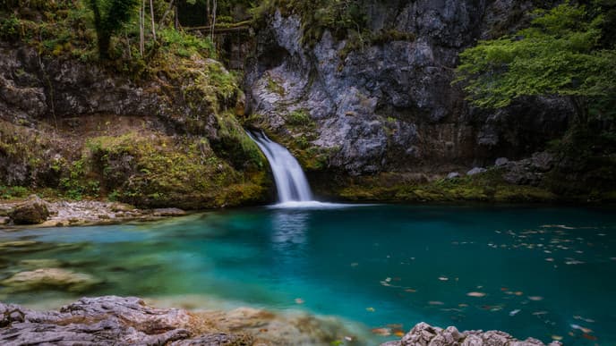 The Beautiful 'Blue Eye'