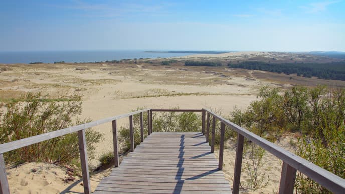 The natural charms of the Curonian Spit