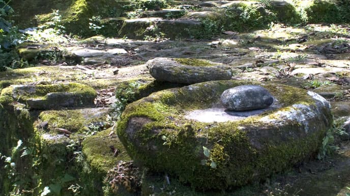 Ciudad Perdida Trek - Ciudad Perdida