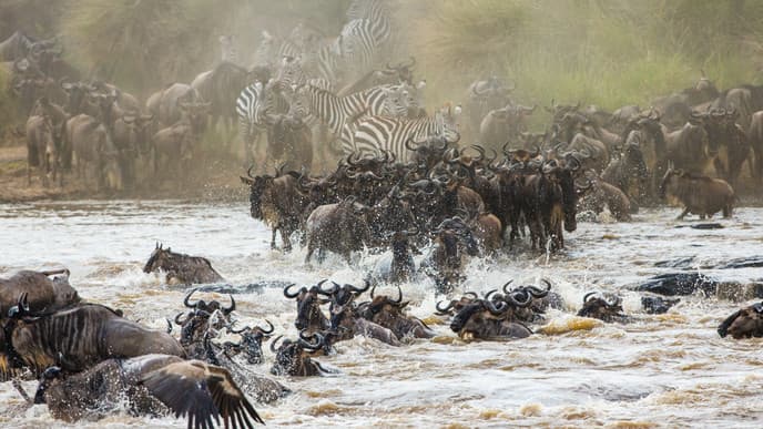 Day 3 - Masai National Reserve