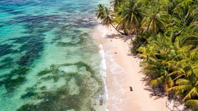 Sea turtles & snorkeling in island paradise