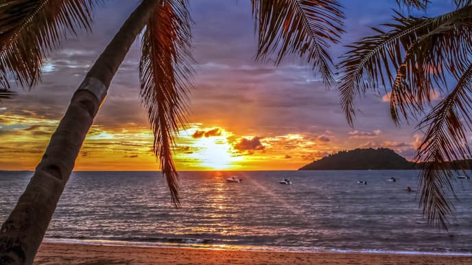 An Island Excursion At Orchid Island